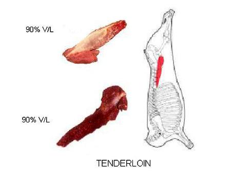 Tenderloin