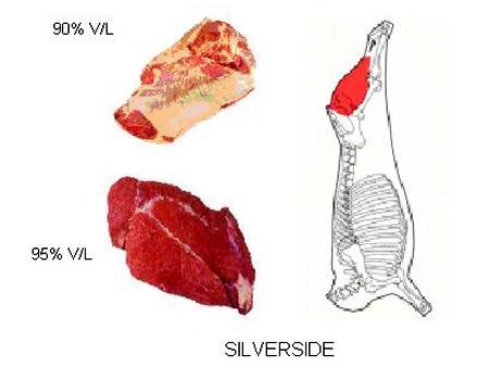 Silverside