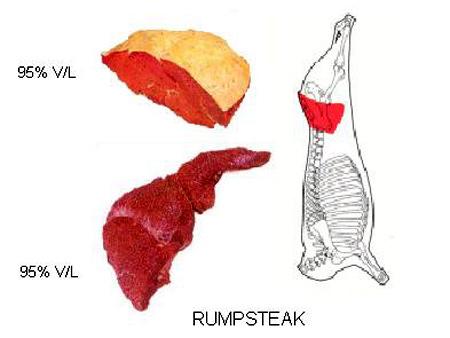 Rumpsteak