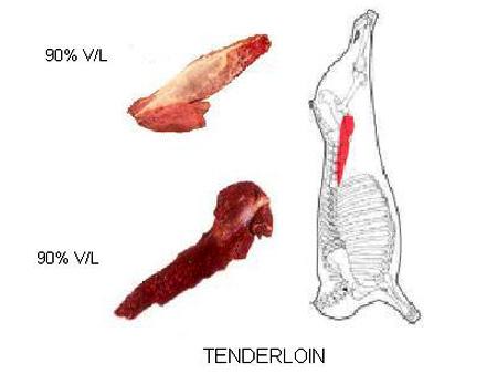Tenderloin