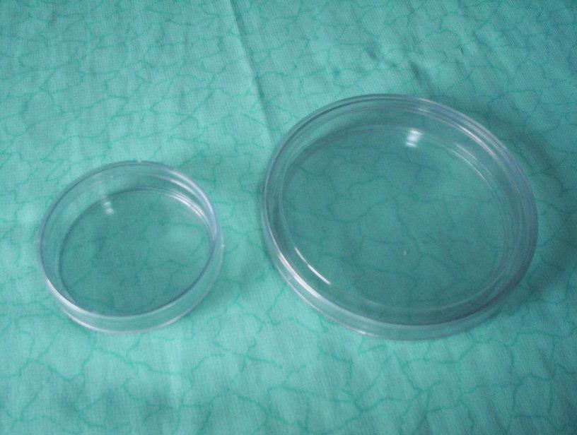 PETRI DISH