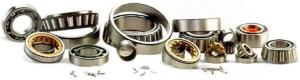Ball & Roller Bearings