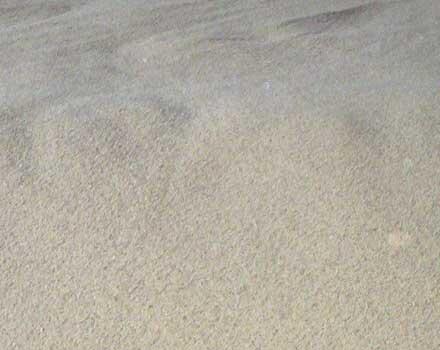 Cationic Guar Gum Application: Food
