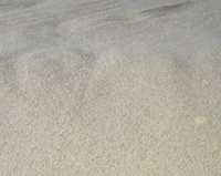 Cationic Guar Gum Application: Food