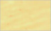 Cellulose Paper