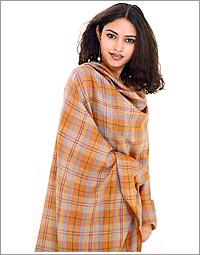 Kashmiri Shawl