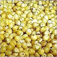 Grain