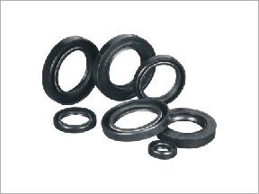 Oil Seals