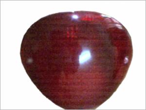 Tail Lamp