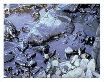 Oil Spill Dispersant