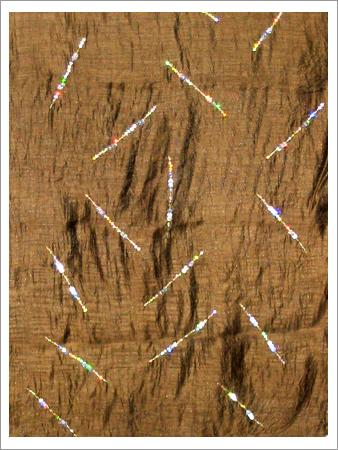 Sequined and Beaded Stole