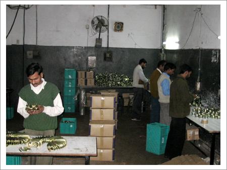 Manufacturing Facility