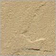 Sand Stone - Sandstone 30x30 to 60x60 Beige 20-35mm Thick | Durable Versatile Sawn & Honed Finish