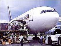 Freight Forwarders & Brokers