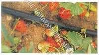 Micro Irrigation System