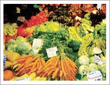 Fresh Vegetables - Farm Sourced, Orange Packaging | Fresh Produce, Nutritious, Versatile, Flavorful
