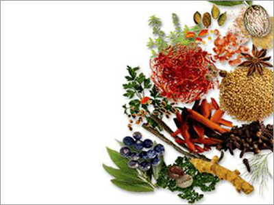 Spices & Seasonings