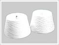 Polyester Double Yarn