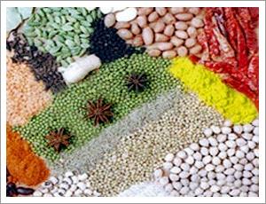 Spices