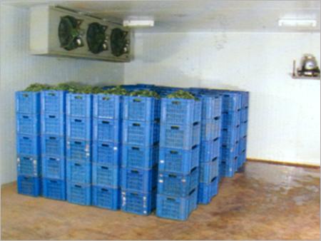 Coir Products