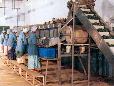 Coir Products