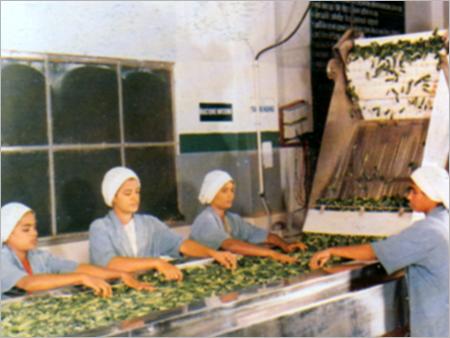 Coir Products