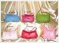 Leather Ladies Hand Purse