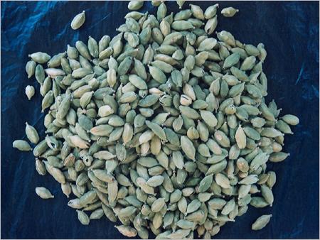 Cardamom