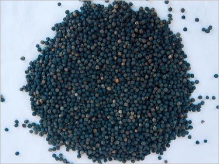 Black Pepper