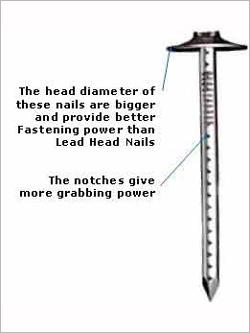 Roofing-Nail