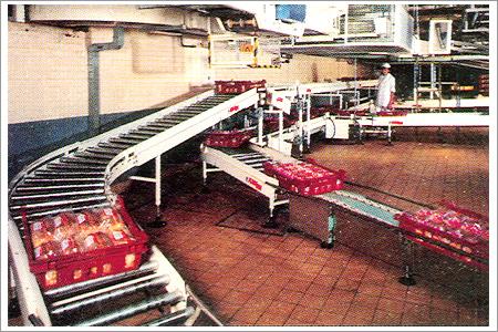 Competent Gravity Roller Conveyors