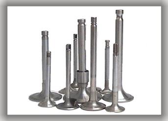 ENGINE VALVES