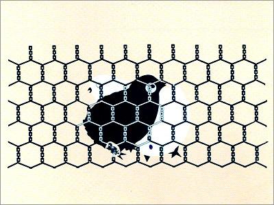 Hexagonal Wire Netting/Chicken Mesh