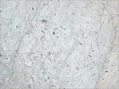 Slate