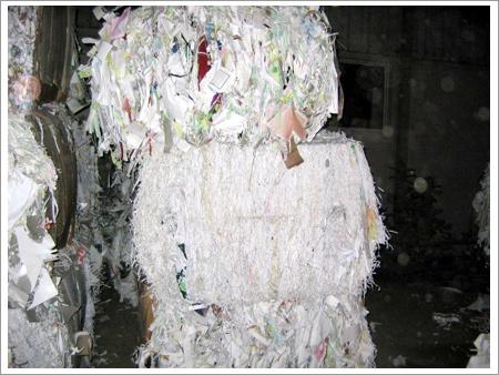 Paper Scrap