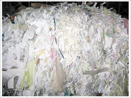 Paper Scrap