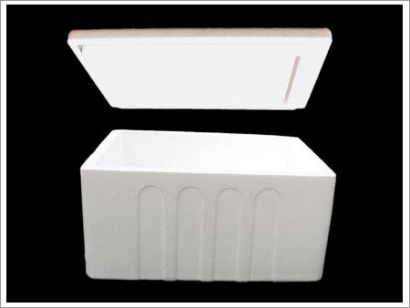 White 60 Ltrsthermocol Moulded Boxes