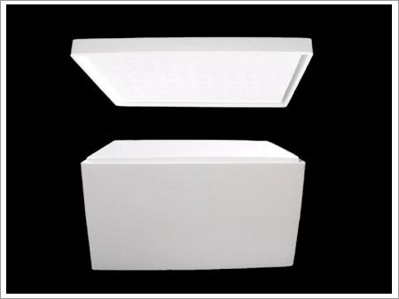 75 Litresthermocole Boxes - Color: White