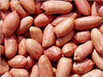 Bold-peanuts