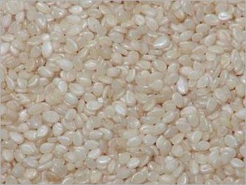 Sundried-sesame seed
