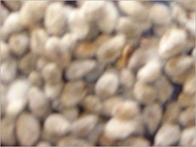 Cotton-seeds