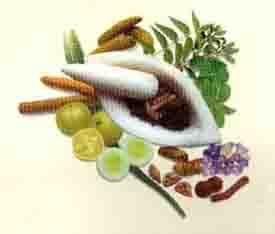 Herbal extracts & essential oils