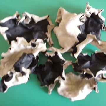 Black Fungus - Dried, Black, 10-15% Moisture | High Fiber, Nutrient Rich, Culinary Versatile