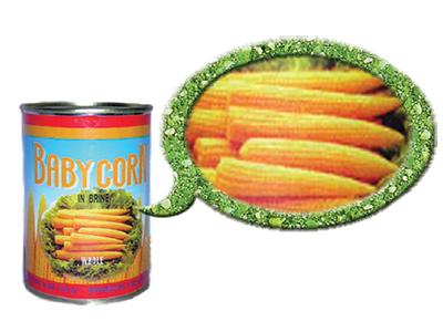Canned Baby Corn (Whole)