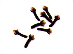 Cloves