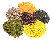 Pulses