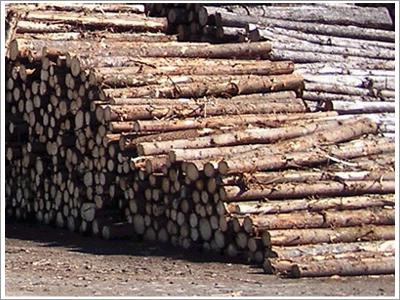 Logs