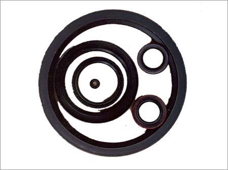 Gasket / Oil Seals / O-Rings