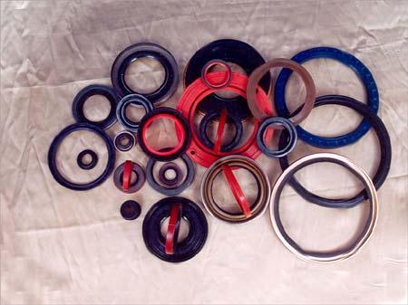 Gasket / Oil Seals / O-Rings