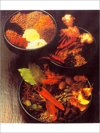 Medicinal & Culinary Herbs